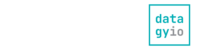 Datagy logo
